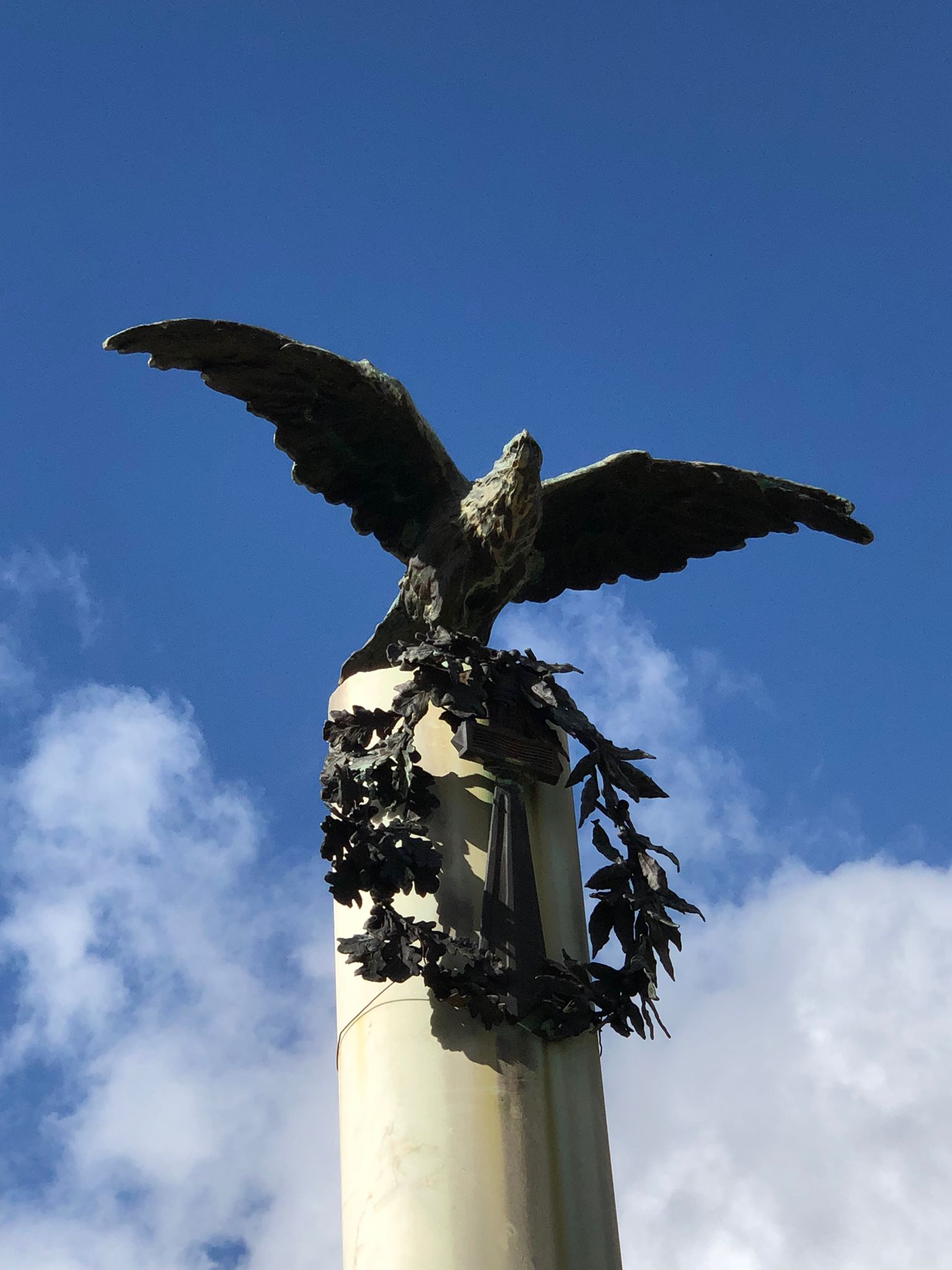 Monumento ai caduti – Aquila bronzea bassorilievo – Perdifumo